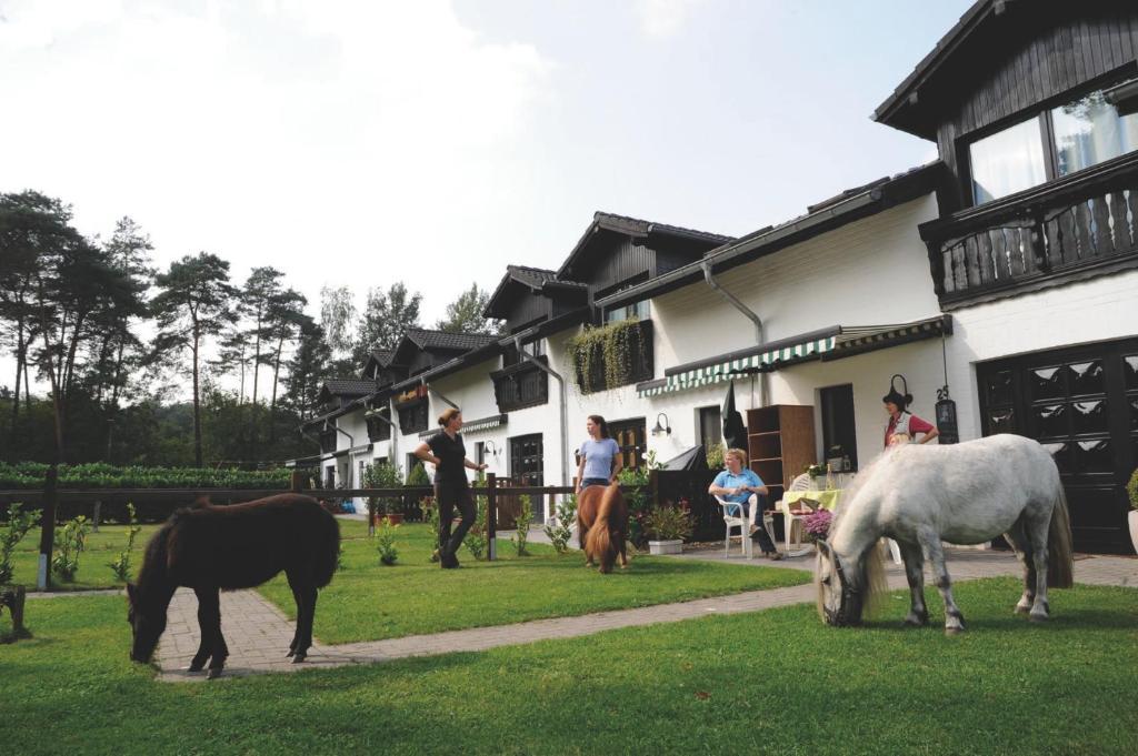 Landhotel Linden Am Venekotensee Niederkruechten Exterior photo